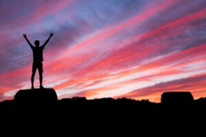 The Vital Reset Reclaim Your Energy and Focus