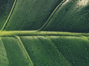 Vitality Unleashed Tapping into Hidden Energy